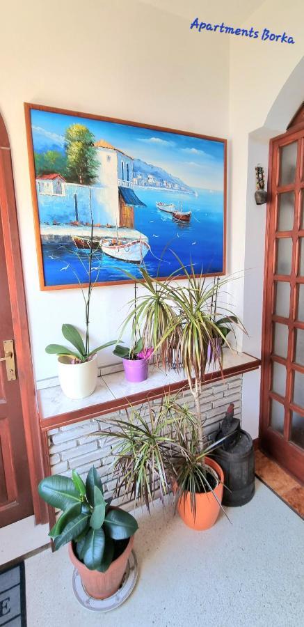 Apartments Borka Biograd Na Moru Εξωτερικό φωτογραφία